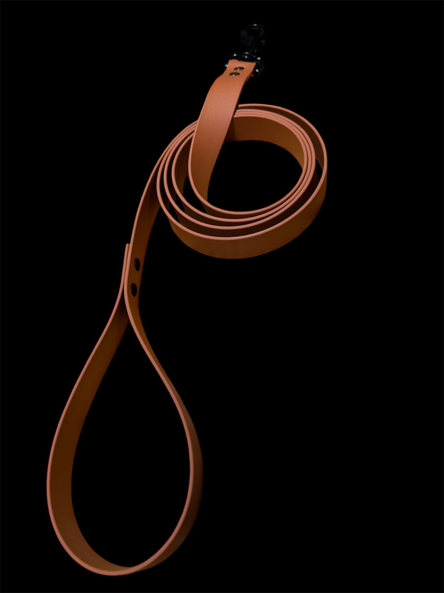 Pup leash