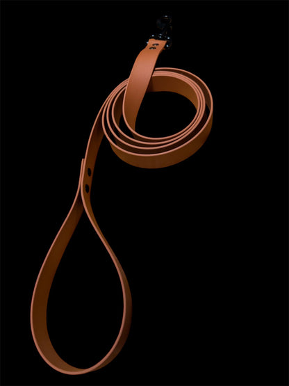 Pup leash