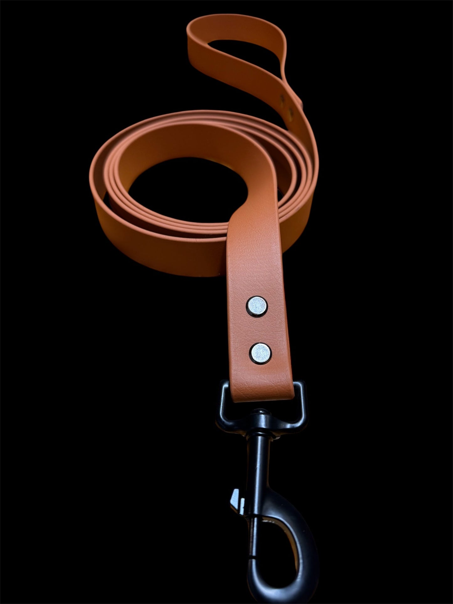 Pup leash