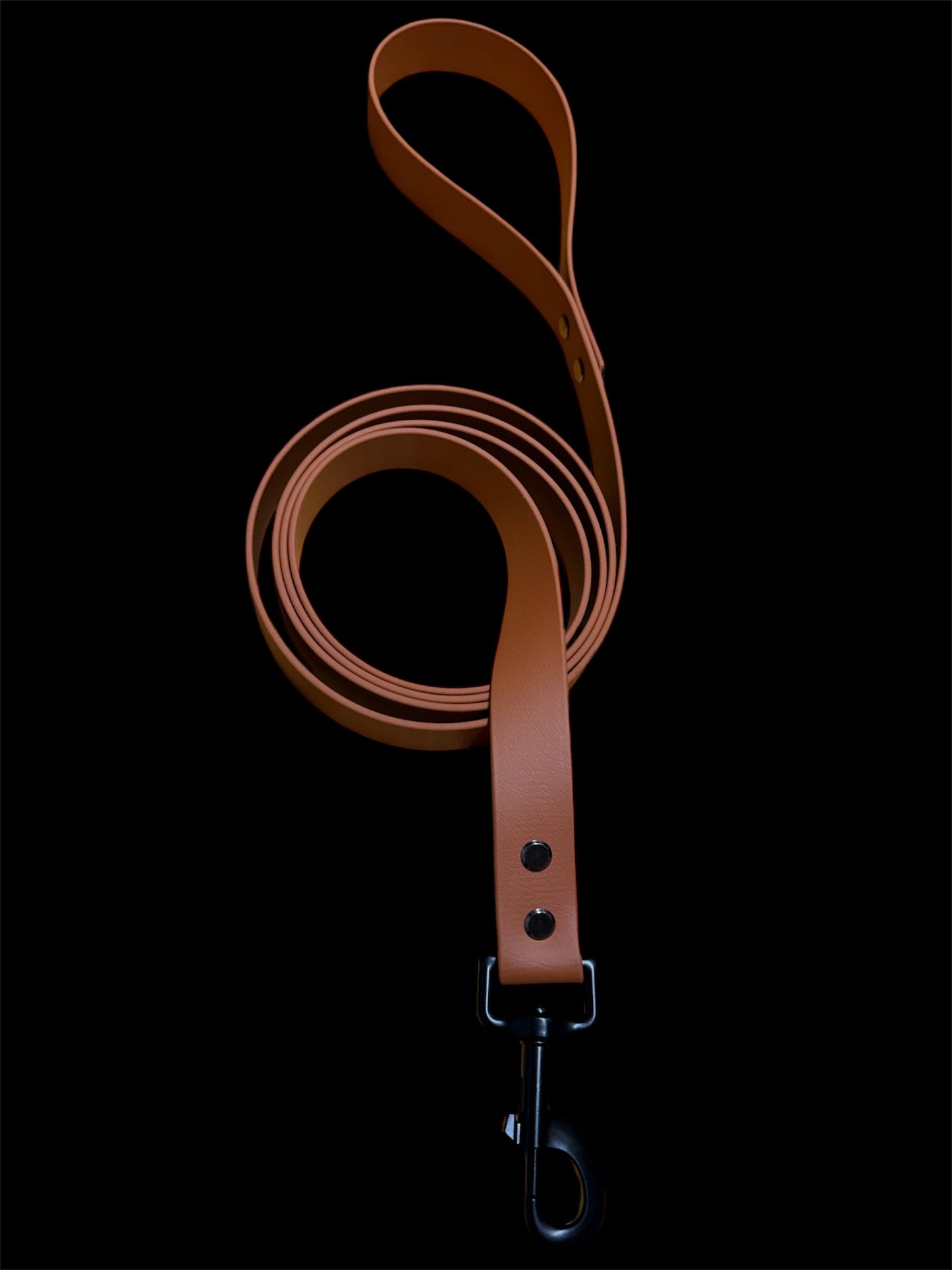 Pup leash