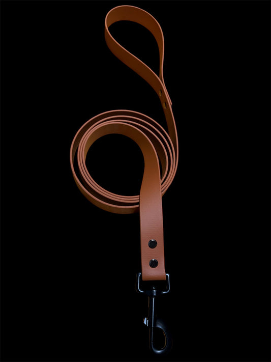 Pup leash